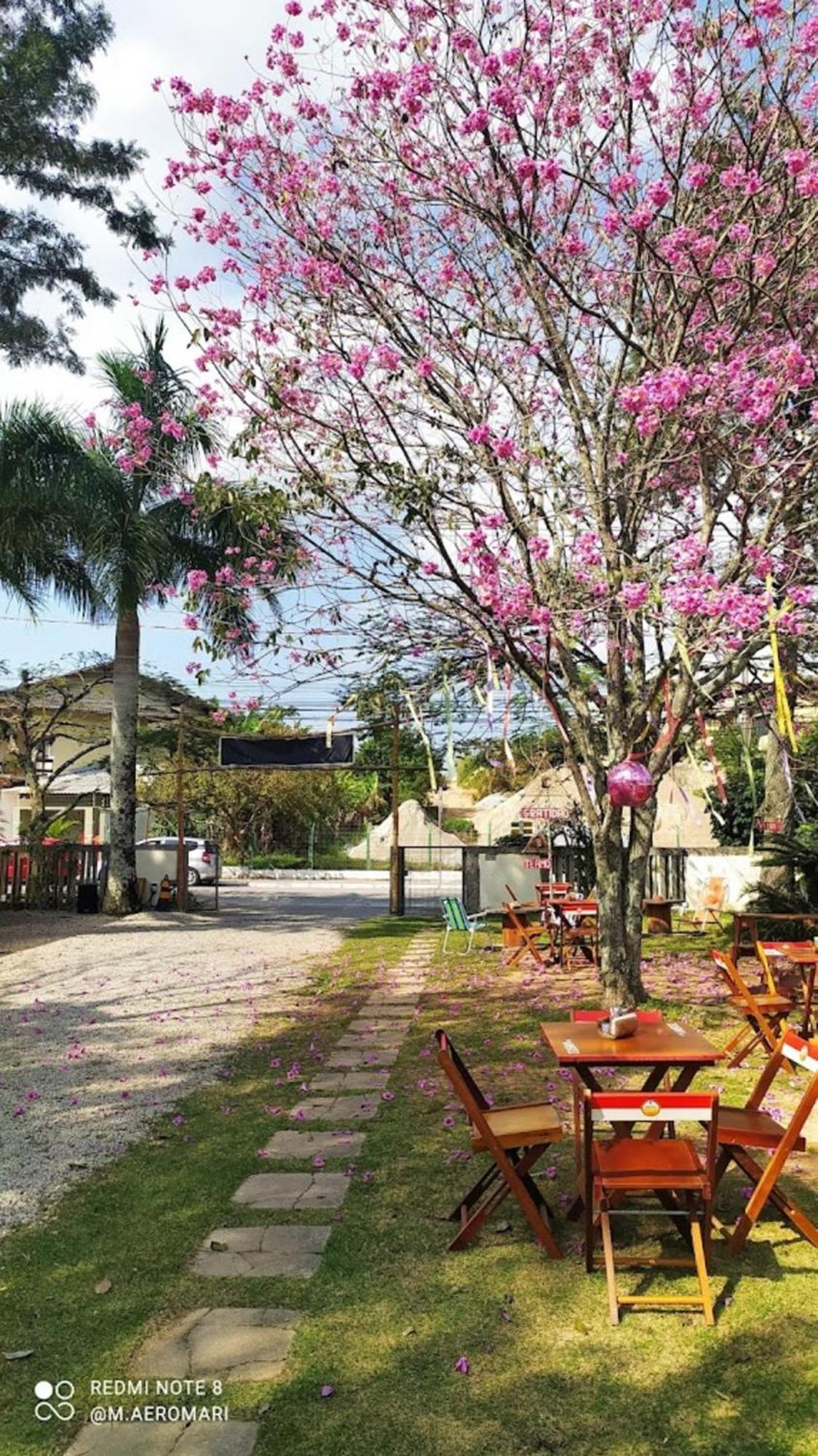 Nomades Vibe Da Ilha - Adventure Hostels & Coworking Florianopolis Ngoại thất bức ảnh
